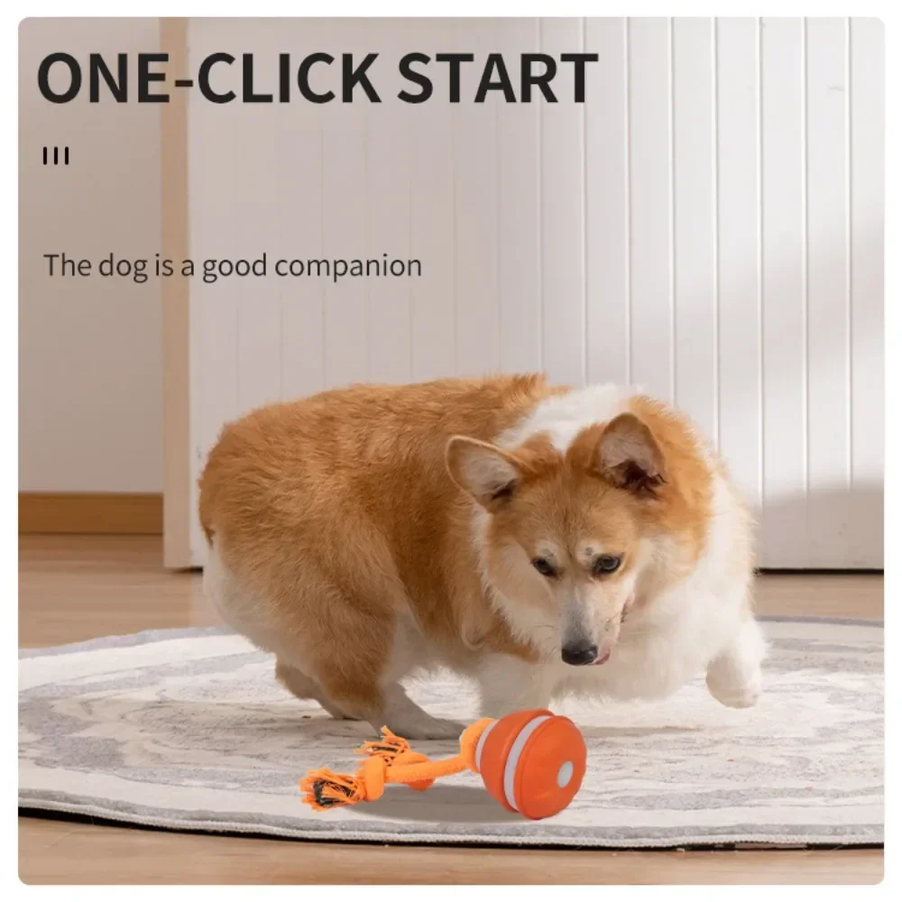 Pet Ball for Dogs Interactive  - Automatic Moving Dog Ball review and price