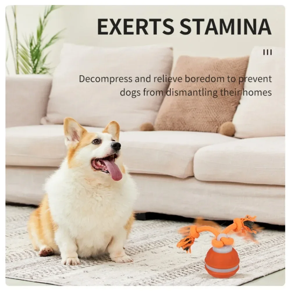 Pet Ball for Dogs Interactive  - Automatic Moving Dog Ball review and price