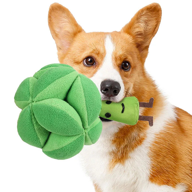 Snuffle Broccoli Dog Puzzle To - Dog Puzzle Feeder Toy review and price