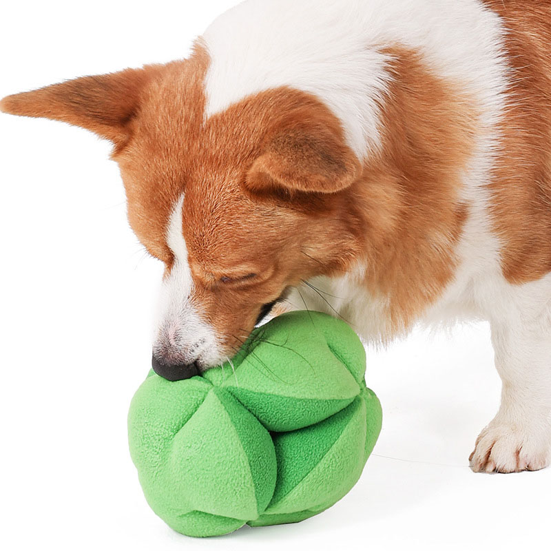 Snuffle Broccoli Dog Puzzle To - Dog Puzzle Feeder Toy review and price