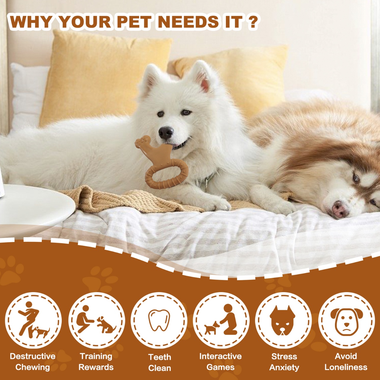 1pc Durable Bone-Shaped Intera - Teeth Cleaning Dog Chew Bone review and price