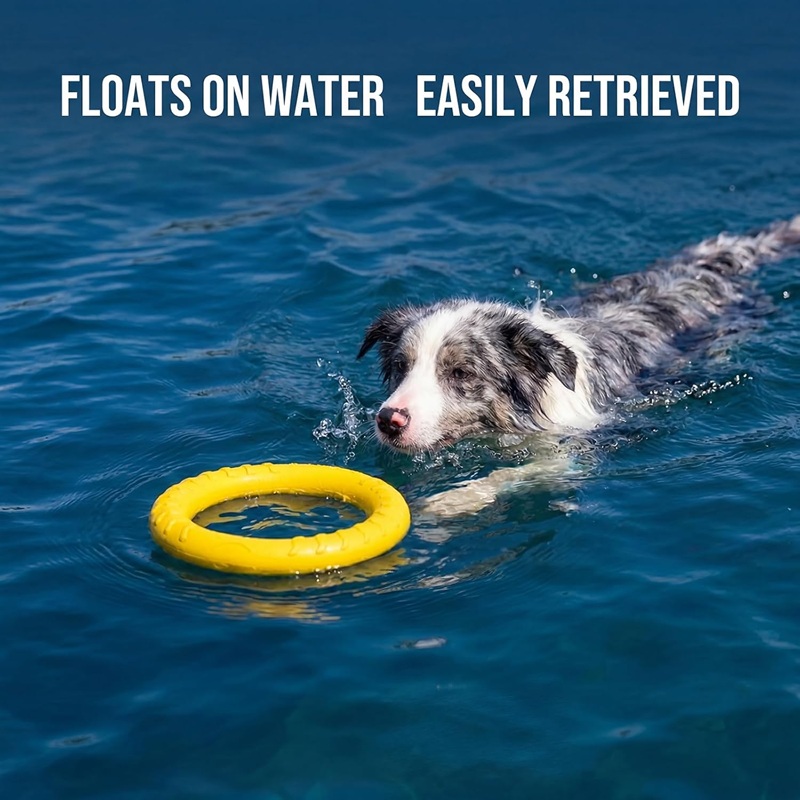 Dog Toys Pet Flying Discs EVA  - Flying Disc Dog Training Toy review and price